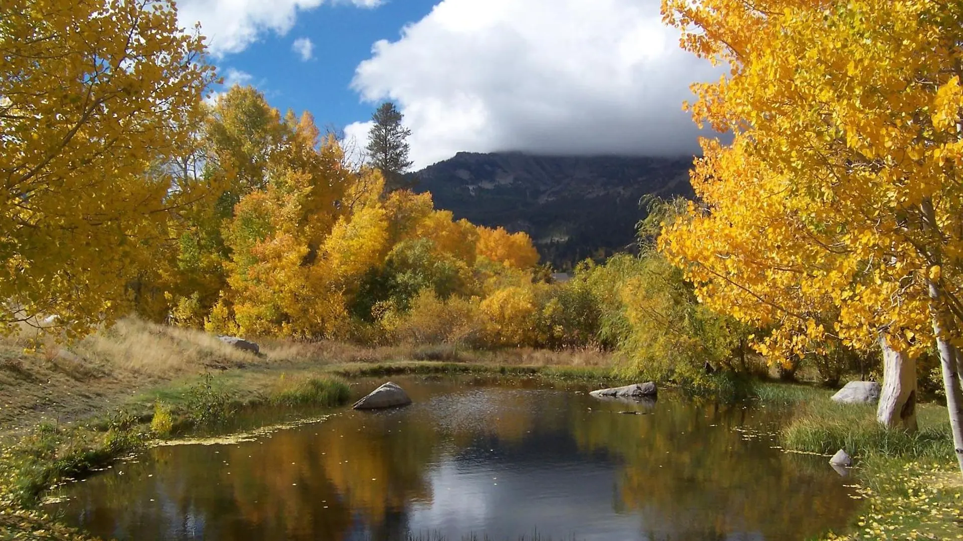 Snowcreek Resort Vacation Rentals Mammoth Lakes